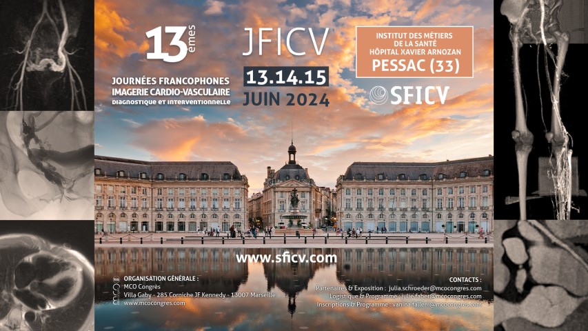 JFICV 2024